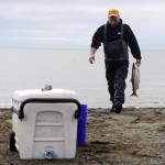 Jeff Dunham carries a sockeye salmon on North Kenai Beach in Kenai, Alaska, during the first day of the Kenai River personal use dipnet fishery on Thursday, July 10, 2025. (Jake Dye/Peninsula Clarion)