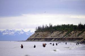 Nets are extended from North Kenai Beach in Kenai, Alaska, during the first day of the Kenai River personal use dipnet fishery on Thursday, July 10, 2025. (Jake Dye/Peninsula Clarion)