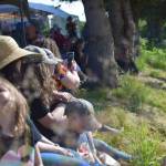A crowd watches the 2025 Kachemak Bay Highland Games on July 5 at Karen Hornaday Park. (Chloe Pleznac/Homer News)