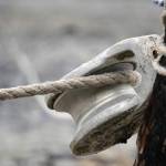 Rope moves through a pulley at a beach site near Clam Gulch, Alaska, where a set beach seine is tested on Wednesday, July 9, 2025. (Jake Dye/Peninsula Clarion)
