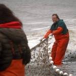 Fishers pull a set beach seine during a test fishery for the gear near Clam Gulch, Alaska, on Wednesday, July 9, 2025. (Jake Dye/Peninsula Clarion)