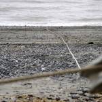 Rope moves through a pulley at a beach site near Clam Gulch, Alaska, where a set beach seine is tested on Wednesday, July 9, 2025. (Jake Dye/Peninsula Clarion)