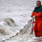 Fishers pull a set beach seine during a test fishery for the gear near Clam Gulch, Alaska, on Wednesday, July 9, 2025. (Jake Dye/Peninsula Clarion)