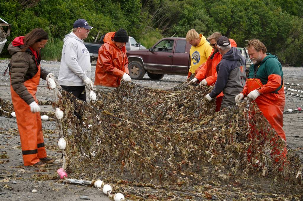 Fishers pluck seaweed from a set beach seine during a test fishery for the gear near Clam Gulch, Alaska, on Wednesday, July 9, 2025. (Jake Dye/Peninsula Clarion)