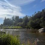 The Anchor River is photographed on Monday, July 21, 2025. (Chloe Pleznac/Homer News)