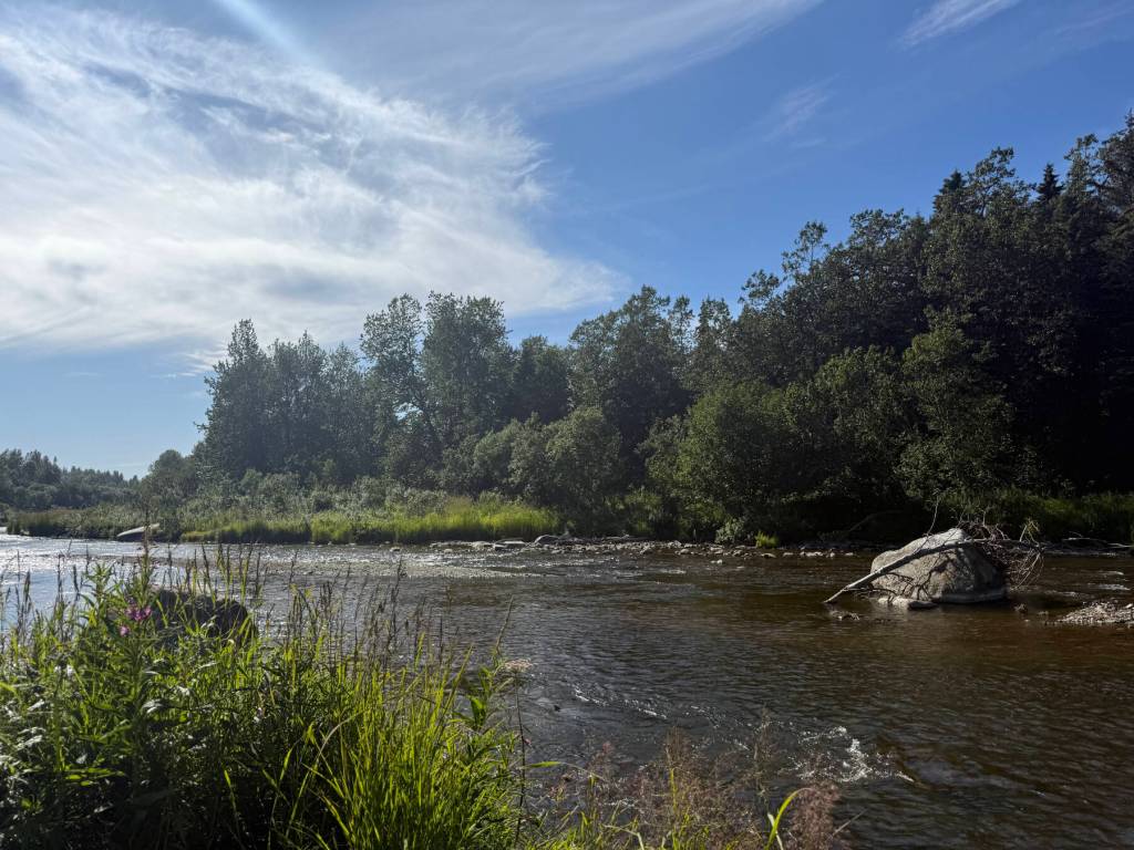 The Anchor River is photographed on Monday, July 21, 2025. (Chloe Pleznac/Homer News)
