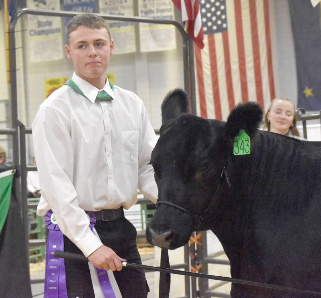 Jacob Merritt displays the Overall Grand Champion Beef at the Junior Market Livestock Auction at the Kenai Peninsula District 4-H Agriculture Expo on Saturday, July 27, 2025, at the Soldotna Regional Sports Complex in Soldotna, Alaska. (Photo by Jeff Helminiak/Peninsula Clarion)