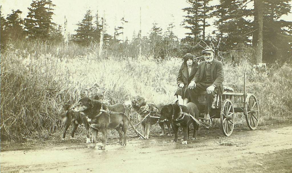 Photo courtesy of the Melchior Family Collection
Having a ready team of work dogs made longer trips out of Seward more manageable for Steve Melchior. The woman accompanying him on the wagon is unidentified.