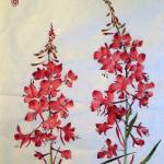 Artist Sharlene Cline will host a fireweed Chinese brush painting session on Aug. 22, 2025, at Homer Council on the Arts in Homer, Alaska. Photo provided by Homer Council on the Arts