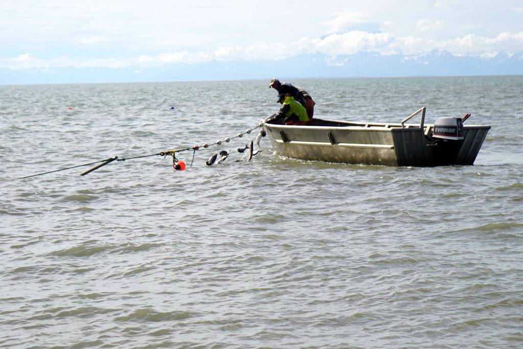 Gary Hollier and other east side setnetters pull a setnet filled with sockeye salmon onto a boat in Kalifornsky, Alaska, on Wednesday, Aug. 6, 2025. (Jake Dye/Peninsula Clarion)