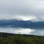 The view from the trail at Eveline State Recreation Site on Saturday, Aug. 9, 2025, during the inaugeral 5K hosted by Kachemak Bay Running Club. (Photo courtesy of Michael Murray)