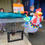 Kenai Peninsula District 4-H chickens are on display at the Kenai Peninsula Fair, Aug. 8-10, 2025, in Ninilchik, Alaska. (Photo courtesy of Jack Money)