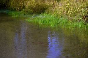 Water pools alongside Big Eddy Road in Soldotna, Alaska, on Wednesday, Sept. 13, 2023. (Jake Dye/Peninsula Clarion)