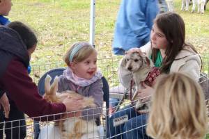 Kids and adults alike enjoy the petting zoo provided by the Anchor River Llama Alpaca Ranch and Backyard Dreams Farm during the Anchor Point Food Pantry's "Frontier Days" fundraiser browse through silent auction items on Saturday,Oct. 4, 2025, at the VFW Post 10221 in Anchor Point, Alaska. (Delcenia Cosman/Homer News)