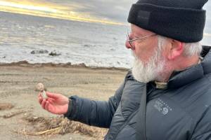 Archaeologist Rick Knecht holds a human figure that he found on the beach near the village of Quinhagak on Oct. 24, 2025. Photo courtesy Alice Bailey