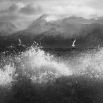 "Tern Tern Tern," a photograph captured by Taz Tally in 2019, is one of several images on display through November in his solo exhibit at the Art Shop Gallery in Homer, Alaska. Photo provided by Taz Tally
