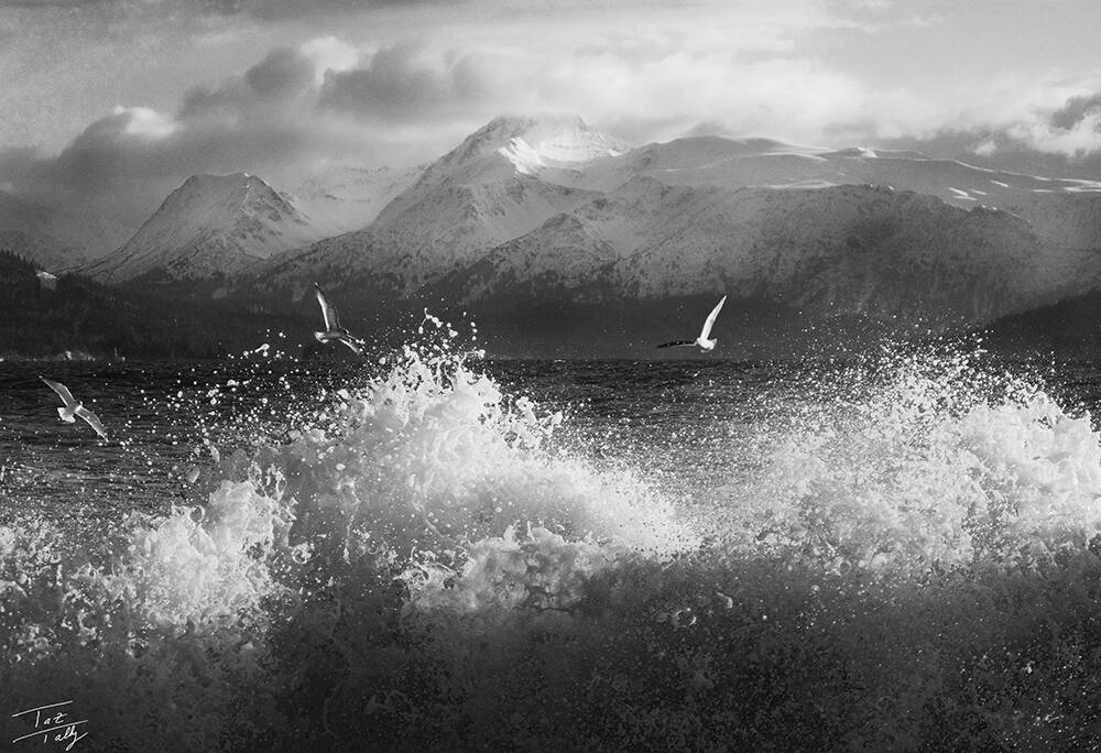 Tern Tern Tern, a photograph captured by Taz Tally in 2019, is one of several images on display through November in his solo exhibit at the Art Shop Gallery in Homer, Alaska. Photo provided by Taz Tally