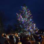 The Christmas tree behind the Homer Chamber of Commerce and Visitor Center is lit on Thursday, Dec. 4, 2025, during the annual holiday tree lighting ceremony sponsored by the chamber in Homer, Alaska. (Delcenia Cosman/Homer News)