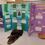 Artifacts from the Pratt Museum's permanent collection are on display alongside the Homer High School Alaska History class's temporary exhibit at the museum on Friday, Dec. 5, 2025, in Homer, Alaska. (Delcenia Cosman/Homer News)