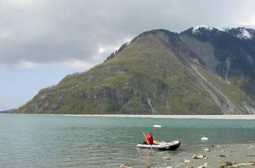 A 1958 earthquake on the Fairweather Fault that passes through Lituya Bay shook a mountaintop into the water and produced a wave that reached 1,740 feet on the hillside in the background, shearing off rainforest spruce trees. Photo courtesy Ned Rozell
