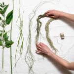 Artist Carla Klinker lays out nettles and nettle fiber in various stages of processing. Photo provided by Carla Klinker