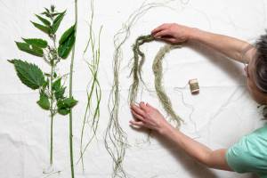 Artist Carla Klinker lays out nettles and nettle fiber in various stages of processing. Photo provided by Carla Klinker