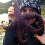 Karyn Murphy holds up a purple seastar in this undated photo. Photo provided by Karyn Murphy
