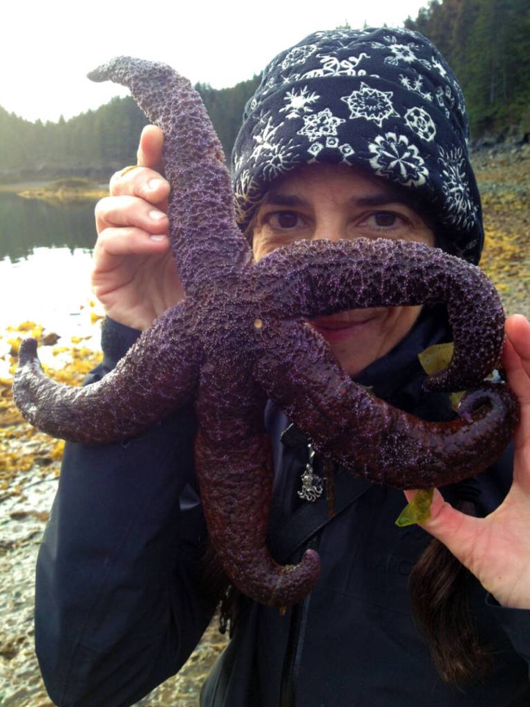 Karyn Murphy holds up a purple seastar in this undated photo. Photo provided by Karyn Murphy