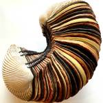 This cockle shell book with a Coptic binding is a multimedia work by artist Karyn Murphy. Photo provided by Karyn Murphy