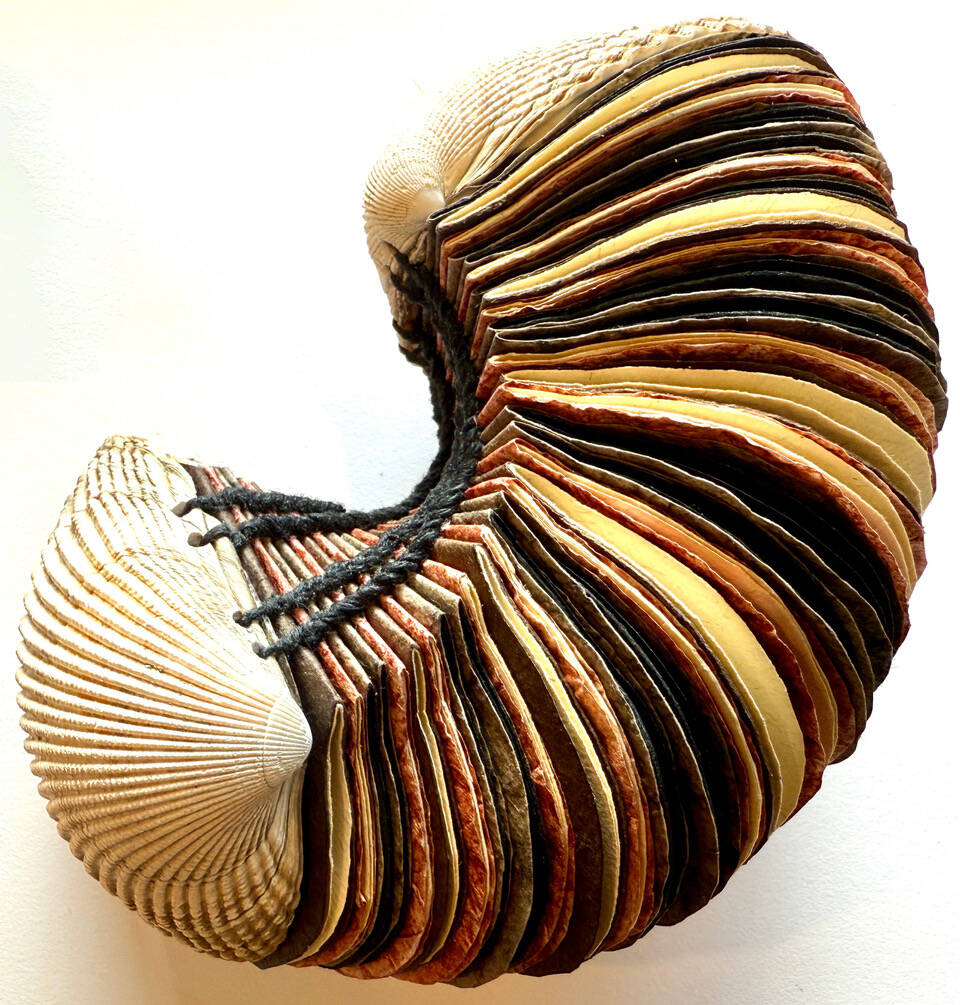 This cockle shell book with a Coptic binding is a multimedia work by artist Karyn Murphy. Photo provided by Karyn Murphy