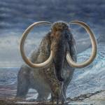 James Havens of Anchorage painted this image of a woolly mammoth that illustrated a cover of Science magazine in which appeared the work of University of Alaska Fairbanks Matthew Wooller and his colleagues. Photo provided by Ned Rozell