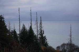 Cook Inlet near Clam Gulch is seen on Oct. 23, 2025. (Photo by Yereth Rosen/Alaska Beacon)