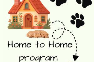 The Homer Animal Shelter's Home-to-Home program aims to reduce stress for pets transitioning to a new home. Photo courtesy of Homer Animal Shelter