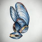 Mussels is a pen and ink and watercolor work by Homer artist Conrad Field. Photo provided by Conrad Field