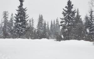 The snow deepens on Monday, Jan. 5, 2026, in Anchor Point, Alaska. (Delcenia Cosman/Homer News)