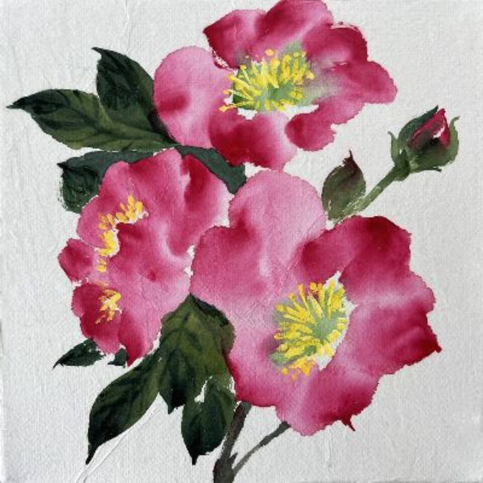 Local artist Sharlene Cline will host a Chinese brush painting workshop, Roses, on Friday, Feb. 20, 2026, at Homer Council on the Arts in Homer, Alaska. Photo provided by Homer Council on the Arts