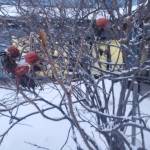 Dried rose hips cling to the bare branches of a rosebush outside the Homer News office on Tuesday, Jan. 13, 2026, in Homer, Alaska. (Delcenia Cosman/Homer News)