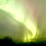 The northern lights dance in the night sky 4.5 miles out East End Road in Homer, Alaska, on Jan. 20, 2026. Photo by Christina Whiting