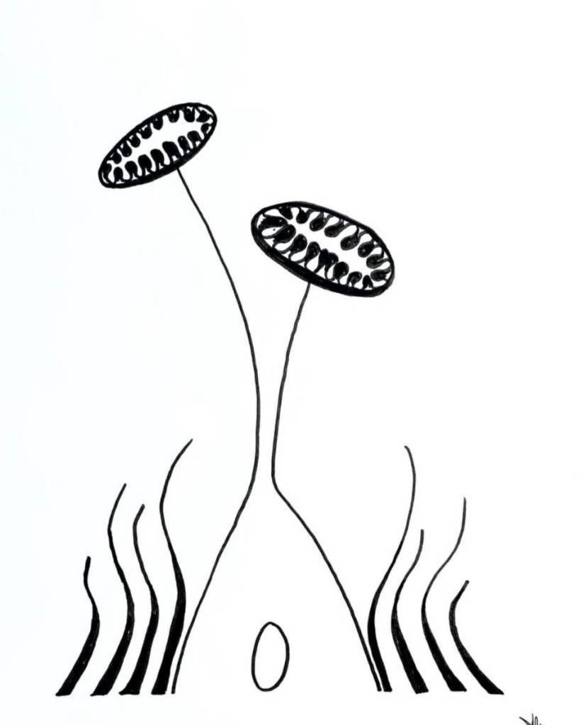 Her Flowers is an acrylic on wood panel painting by Joella Clove, one of several pieces on display in her solo exhibit at the Homer Public Library through March.