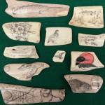 Student work from a recent scrimshaw class taught by Conrad Field at Kachemak Bay Campus will be on display March 6. Photo provided by Kachemak Bay Campus