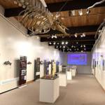 The Pratt Museum continues their spring exhibit, 50 Years of Limited Entry: The Closing of Alaskas Salmon Commons, created by the Kodiak Maritime Museum. Photo provided by the Pratt Museum