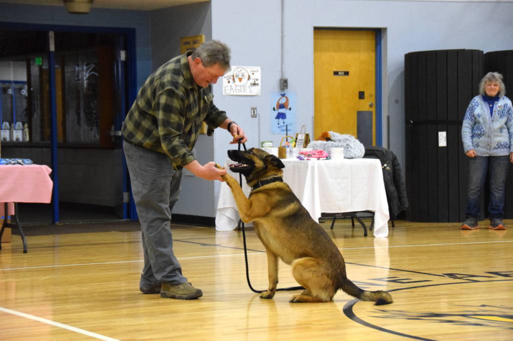 Scotty, a German shepherd and Malamute mix, shakes his owners hand during the Snow Rondi dog show on Sunday, March 1<ins>, 2026,</ins> at Chapman School<ins> in Anchor Point, Alaska</ins>. (Delcenia Cosman/Homer News)