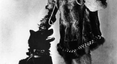 Serum Run musher Gunnar Kaasen poses with Balto, a leader on his mushing team. Alaska State Library Portrait File