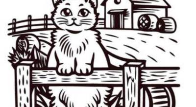Graphic provided by the Homer Animal Shelter