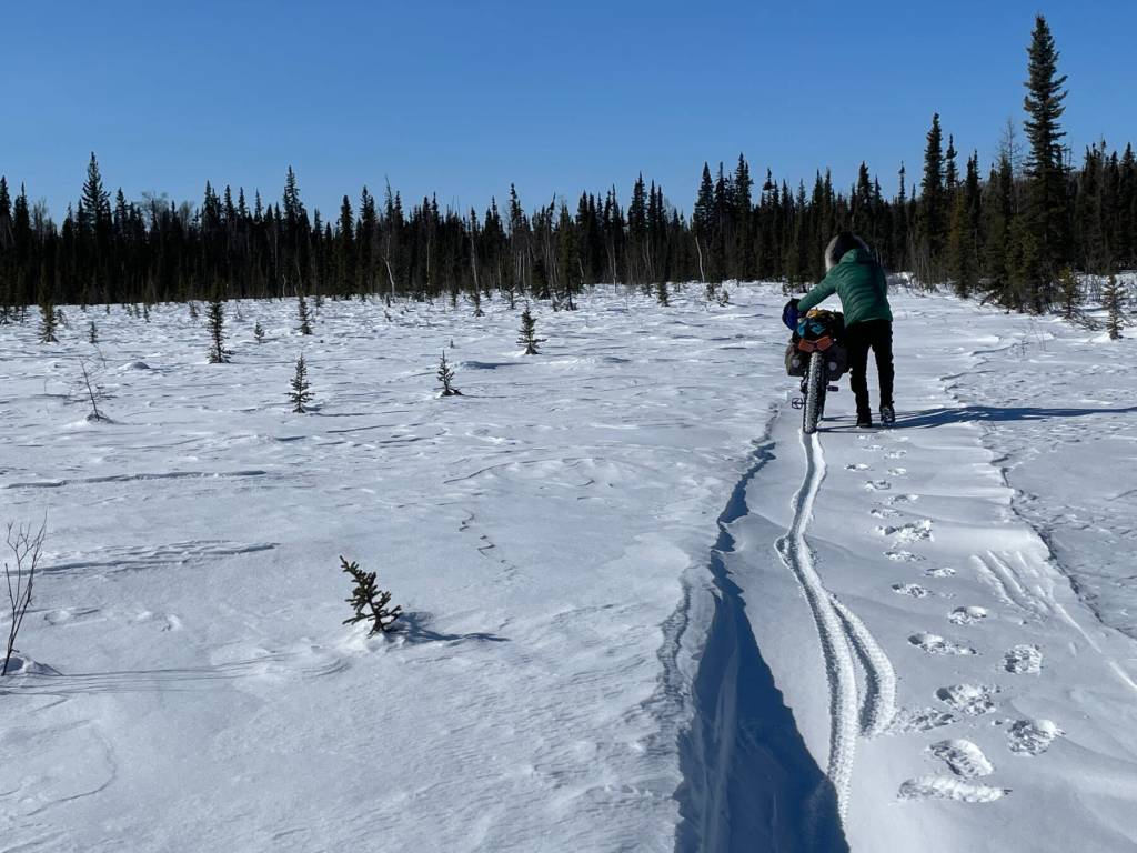 Forest Wagner pushes his fat bike on a drifted-in section of trail in Minto Flats National Wildlife Refuge on March 25, 2026. Photo courtesy Ned Rozell