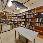 The Pratt Museums recently-modernized reference library is photographed during an open house held Friday, March 27, 2026, in Homer, Alaska. (Delcenia Cosman/Homer News)