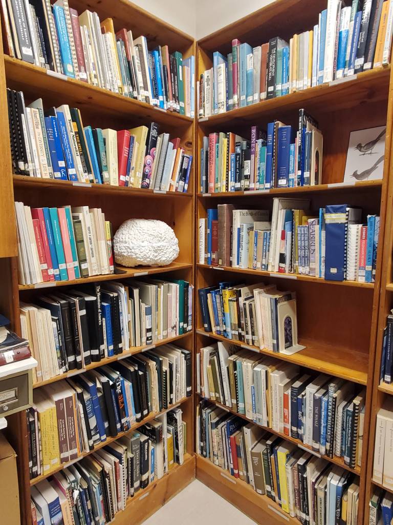 A mold of a sperm whale brain (left) is one of several curiosities accompanying the books that line the shelves in the Pratt Museums Reference Library, photographed during an open house held on Friday, March 27, 2026, in Homer, Alaska. (Delcenia Cosman/Homer News)
