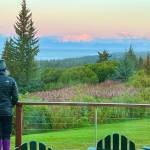 A Storyknife writer in residence takes in the view from their cabin in fall 2024