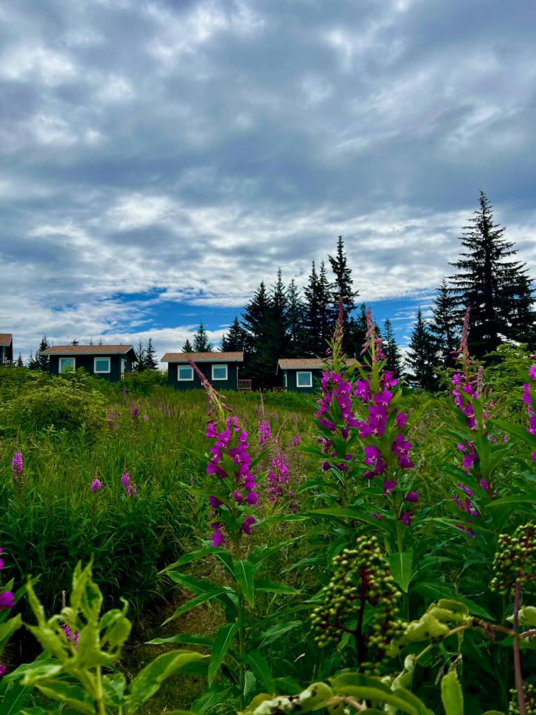 Storyknife Writers Retreat cabins in summer 2025. (Photo provided by Storyknife)