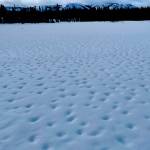 Holes in the snow known as percolation columns formed on a melting snowpack experienced by Fairbanks fatbikers Forest Wagner and Ned Rozell as they attempted to bike from Fairbanks to Nome. (Photo by Ned Rozell)
